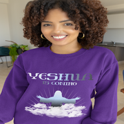 YIC Unisex Sweatshirt